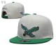 NFL Philadelphia Eagles Snapback Hat (347)