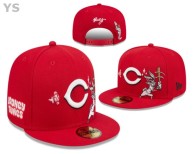 MLB Chicago Cubs Snapback Hat (67)