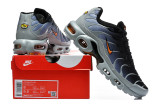 Nike Air Max TN Shoes (66)