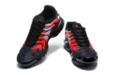 Nike Air Max TN Shoes (71)