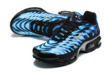 Nike Air Max TN Shoes (64)