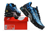 Nike Air Max TN Shoes (64)