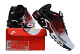 Nike Air Max TN Shoes (58)