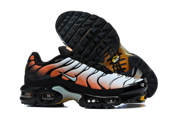 Nike Air Max TN Shoes (63)