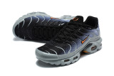 Nike Air Max TN Shoes (66)