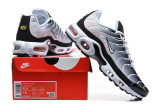 Nike Air Max TN Shoes (73)