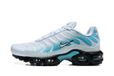 Nike Air Max TN Shoes (70)