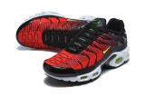 Nike Air Max TN Shoes (67)