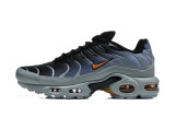 Nike Air Max TN Shoes (66)