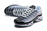 Nike Air Max TN Shoes (73)