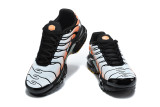 Nike Air Max TN Shoes (63)