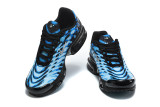 Nike Air Max TN Shoes (64)