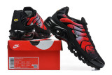 Nike Air Max TN Shoes (71)