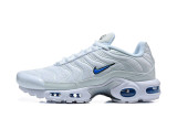 Nike Air Max TN Shoes (72)