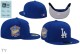 Los Angeles Dodgers 59FIFTY Hat (307)