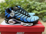 Authentic Nike Air Max Plus Hyper Blue