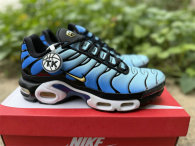 Authentic Nike Air Max Plus Hyper Blue
