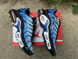 Authentic Nike Air Max Plus Hyper Blue