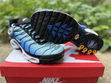 Authentic Nike Air Max Plus Hyper Blue