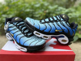 Authentic Nike Air Max Plus Hyper Blue