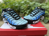 Authentic Nike Air Max Plus Hyper Blue