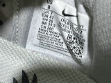 Nike Pegasus Premium（21）