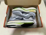 Nike Pegasus Premium（21）