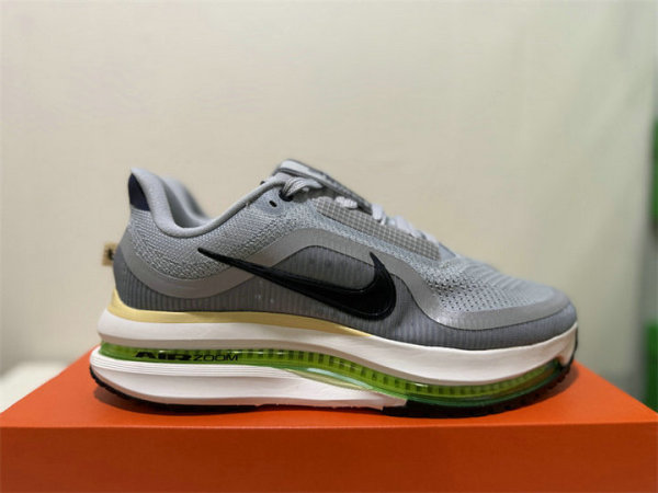 Nike Pegasus Premium（21）