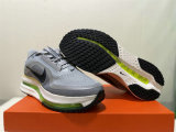 Nike Pegasus Premium（21）
