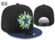 NFL Dallas Cowboys Snapback (21)