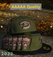 Arizona Diamondbacks 59FIFTY Hat (40)