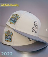 Los Angeles Dodgers 59FIFTY Hat (310)