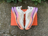 Nike Pegasus Premium (22)