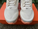 Nike Pegasus Premium (22)