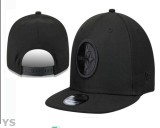 NFL Pittsburgh Steelers Snapback Hat (374)