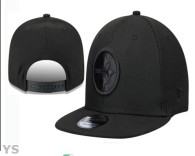 NFL Pittsburgh Steelers Snapback Hat (374)