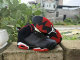 Air Jordan 6 Shoes AAA (133)