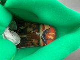 Authentic Air Jordan 11 “Green Screen”