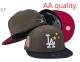 Los Angeles Dodgers 59FIFTY Hat (314)