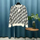 Dior Sweater S-XL (3)