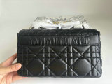 Dior Handbag AAA (1)