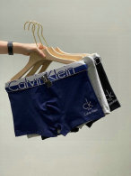 CK Boxer Briefs Set (94)