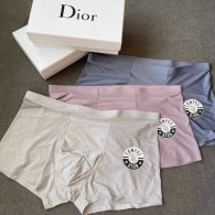 Dior Boxer Briefs Set (40)