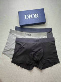 Dior Boxer Briefs Set (99)