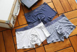 Dior Boxer Briefs Set (34)