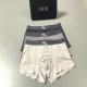 Dior Boxer Briefs Set (81)