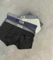 Dior Boxer Briefs Set (65)