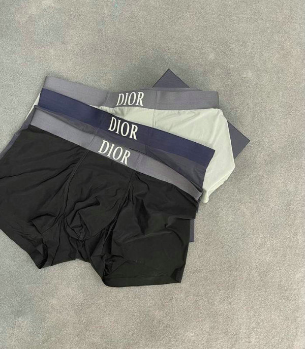Dior Boxer Briefs Set (65)