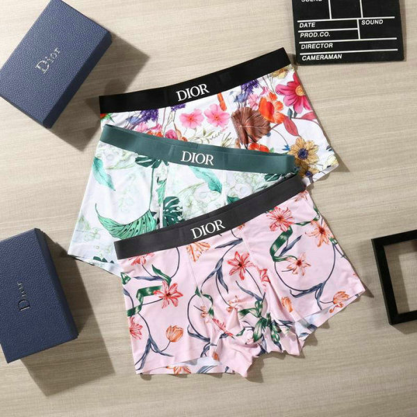 Dior Boxer Briefs Set (106)