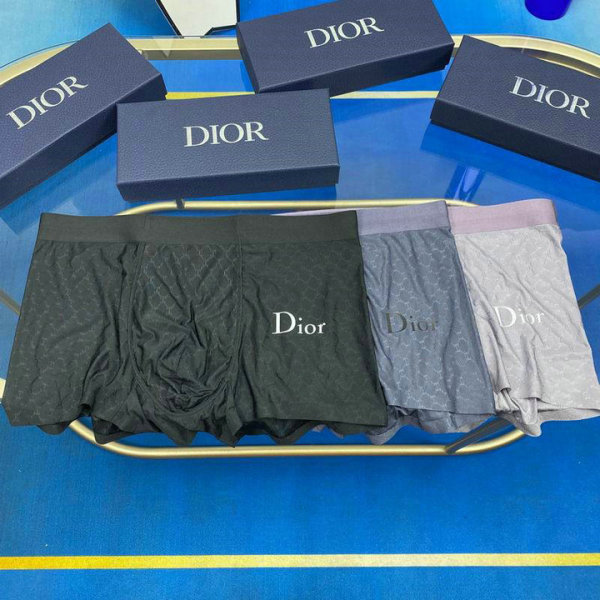 Dior Boxer Briefs Set (89)